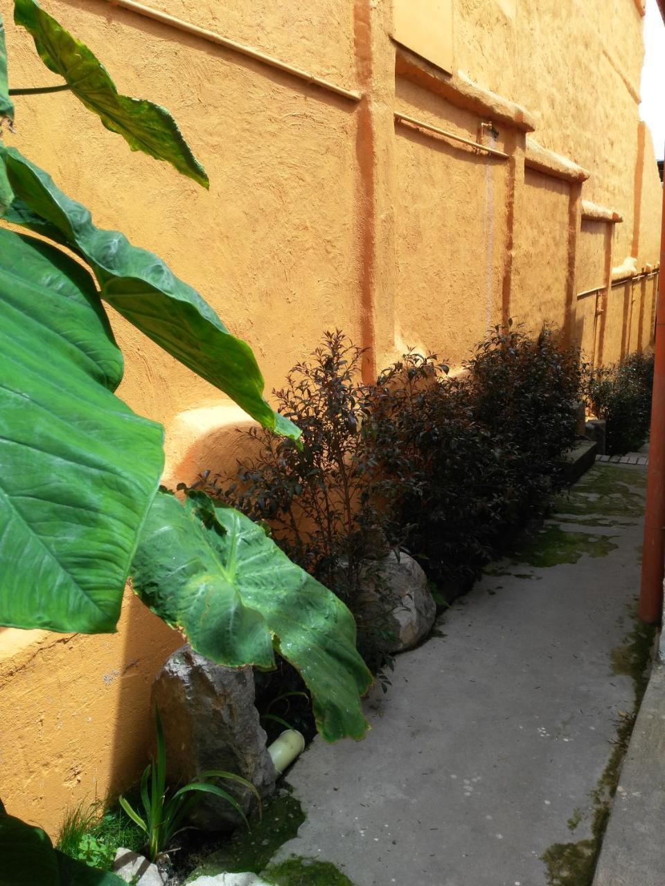 Casa-Arbol Apartment Bogota Exterior photo